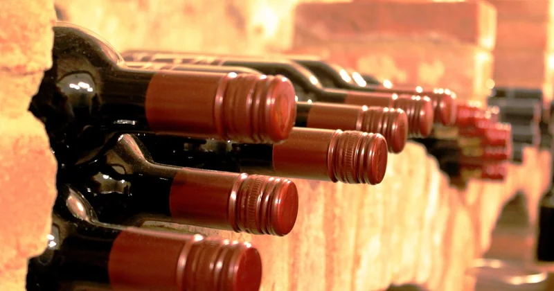 Faut-il apprendre le vin avant de partir ?