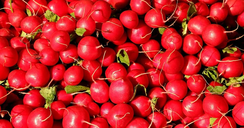Consommer sur place : des choix qui changent tout